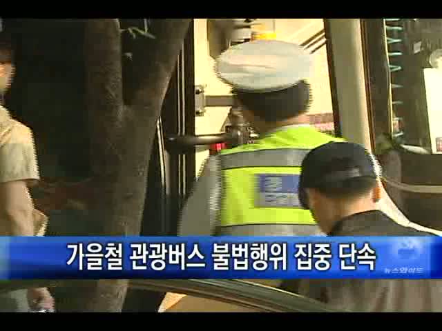 현대관광 이미지