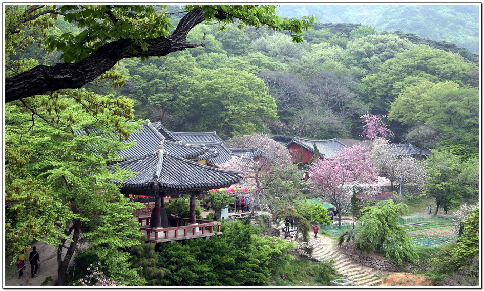 개심사