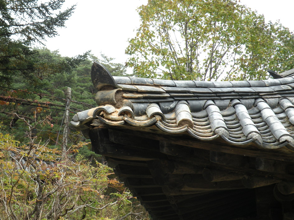 삼성카 이미지