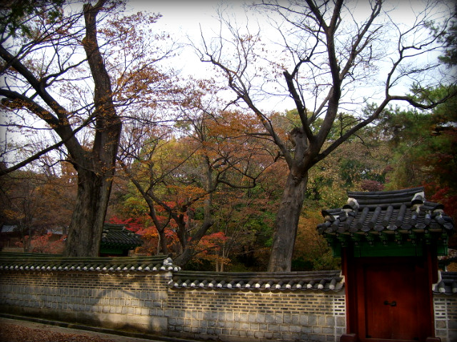 112E6B144AF29BF0976C0C