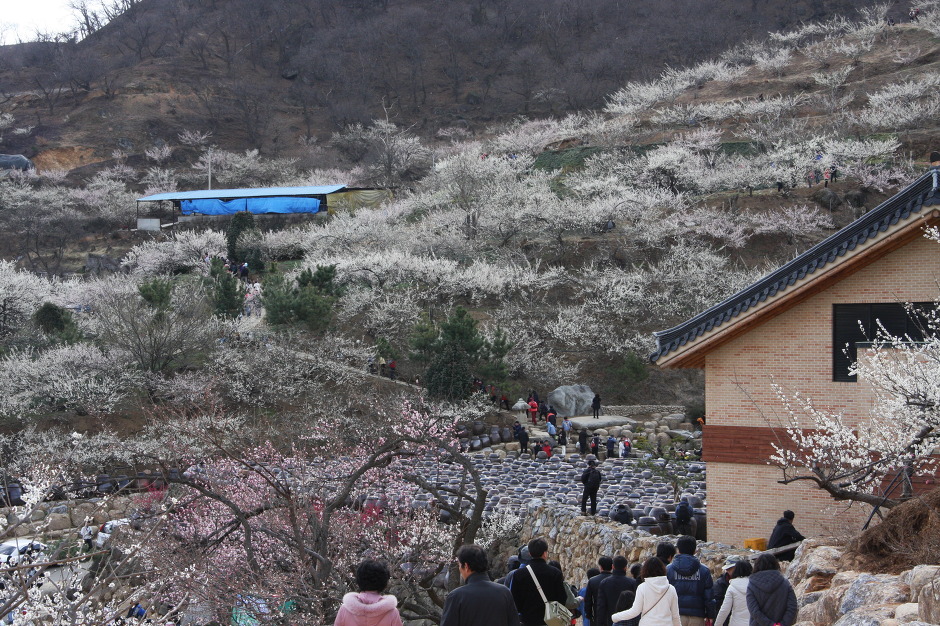 정자농원 이미지