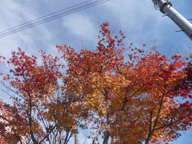113FF9344CE0F5A13A0781