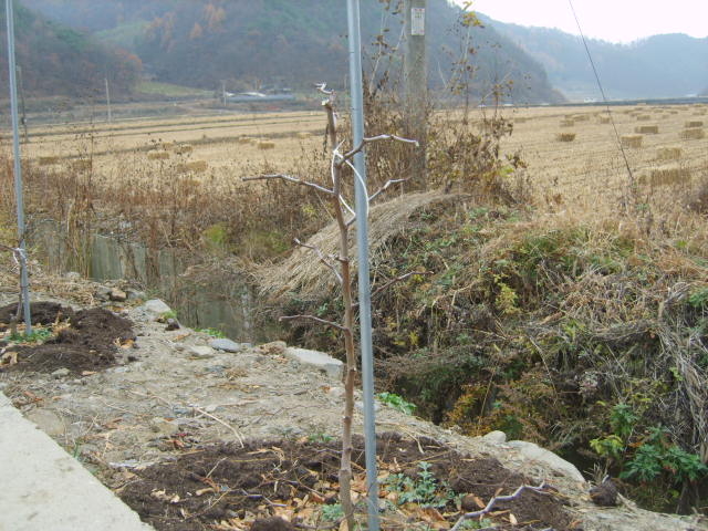 조은농원 이미지