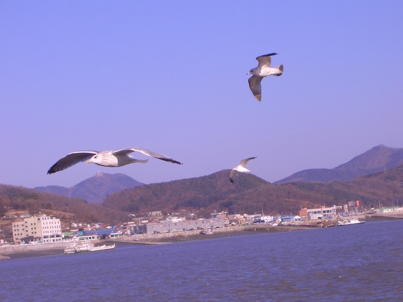평화 이미지