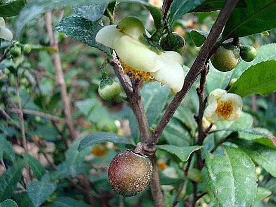 122B98114B78D8901956F6