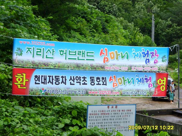 지리산산삼산야초 이미지