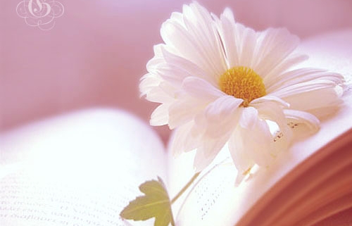 12525C494ED375430FC13A