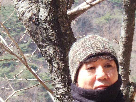 이미지