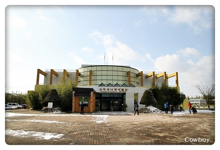 한국대나무 이미지