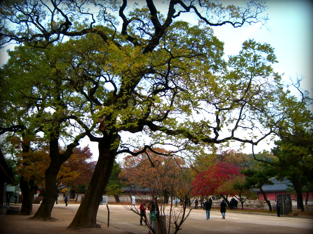 130202144AF5A9CE9F63E9