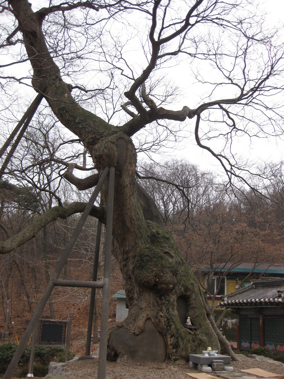 석화산농장 이미지