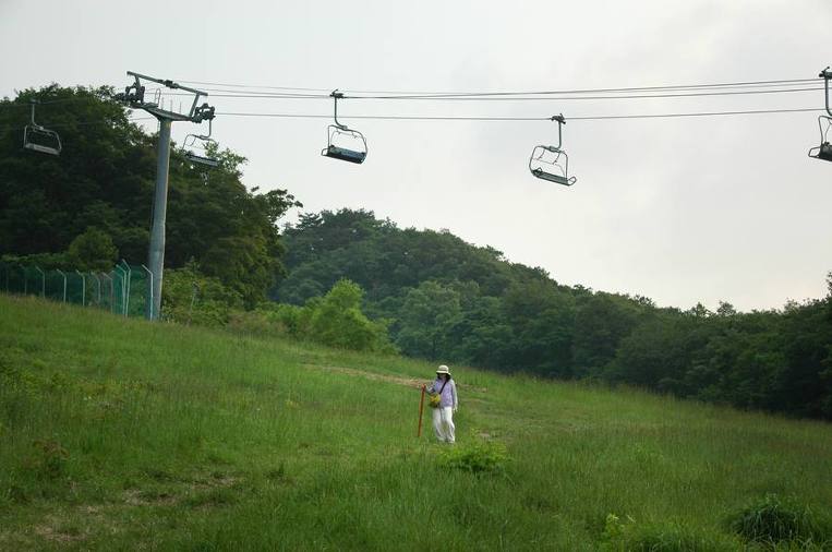 <403>유월의 덕유산 산정 2008.6.7 