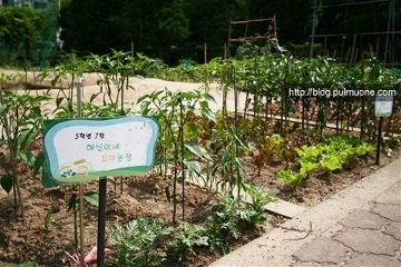 (주)풀무원녹즙 이미지