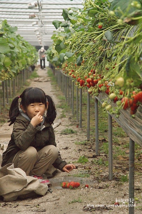 137318534DA873F222B7C0