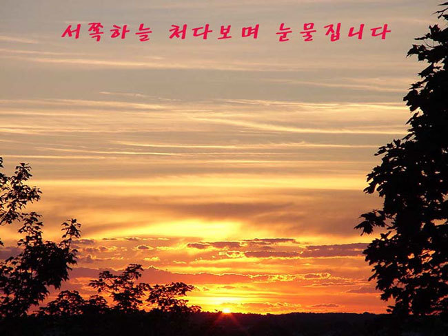 만향 이미지