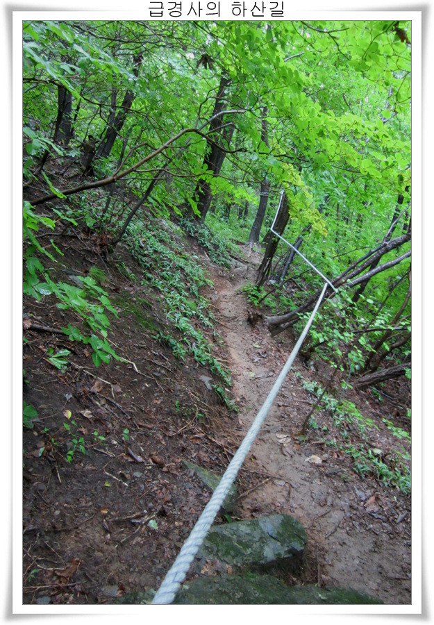 140539485039EF5E0D266B