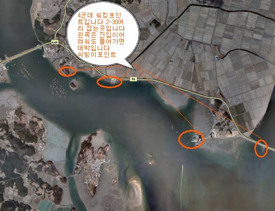 지구워킹 이미지