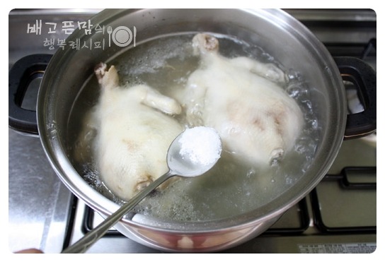 말복에 해먹은 여름 대표보양식.