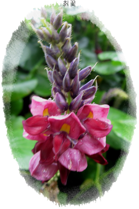 143DDF4B5039ED7F299D74