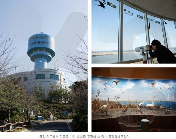 금강서적 이미지