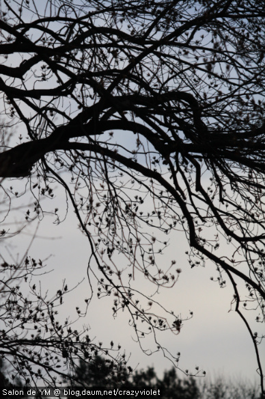 겨울, 욕심을 버리는 계절