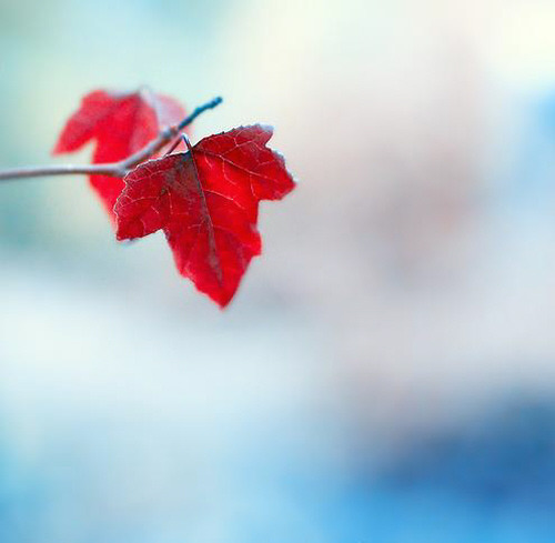 165AC12F4CCB73AB6D73D0