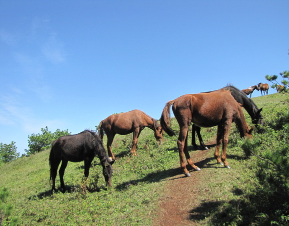이미지 전체보기
