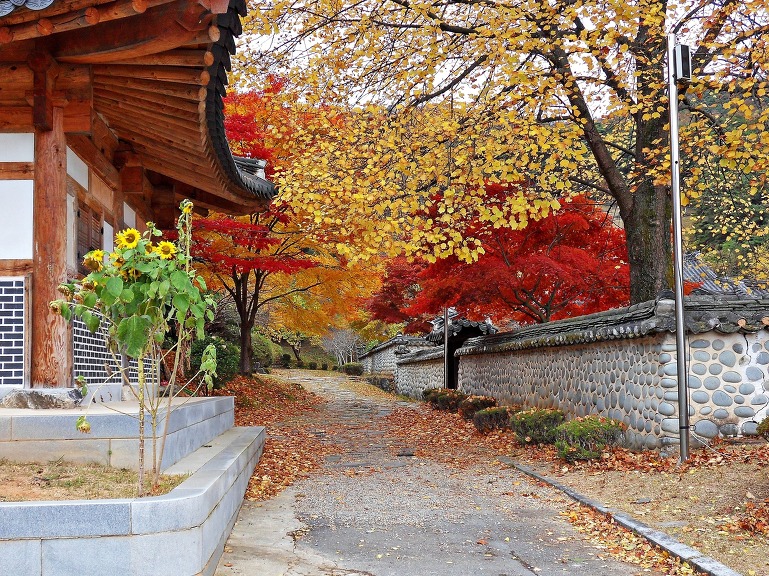 충장사 이미지