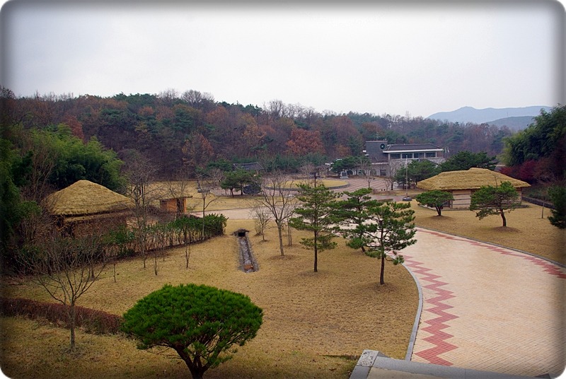 운선생 이미지