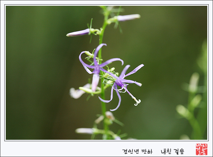 시원한바람 이미지