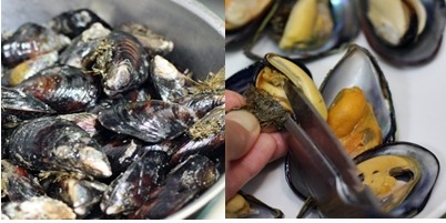 옷잎 이미지