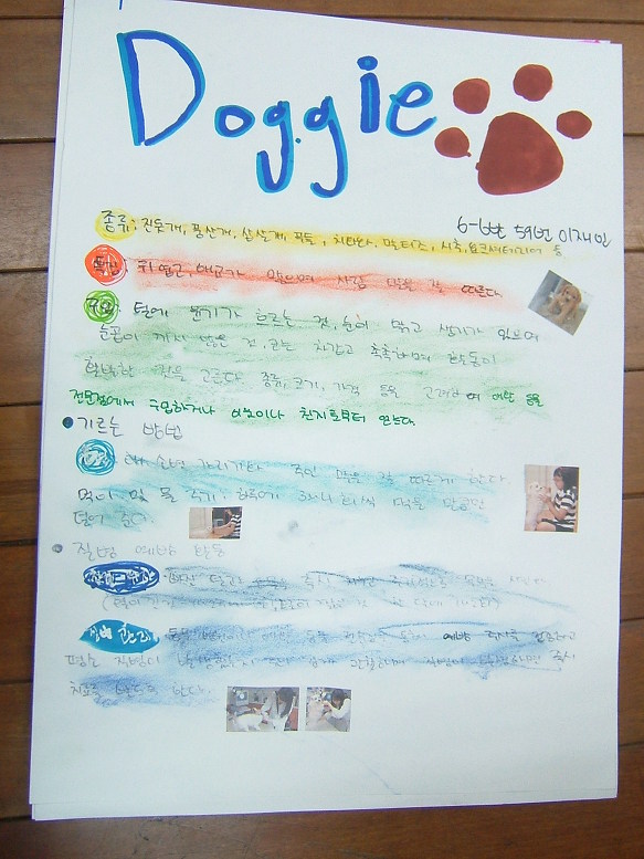 6학년 실과-- 애완동물 기르기 (1)