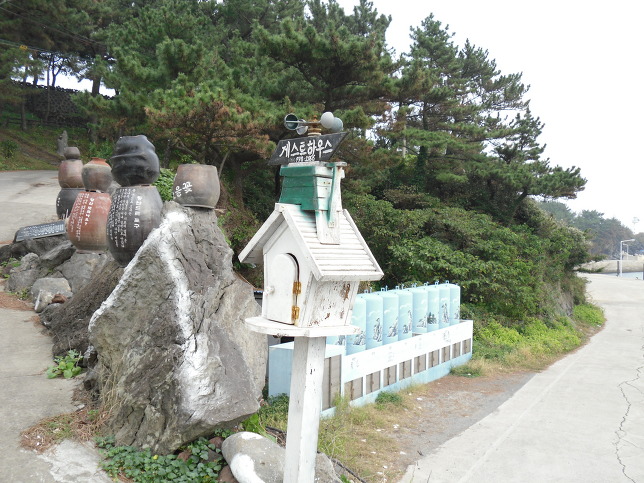 올레도야지 이미지