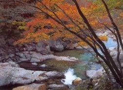 더블루스 이미지