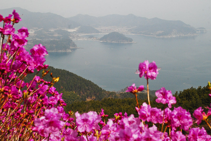 이미지