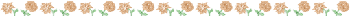 195492034BFE75B55F88EA