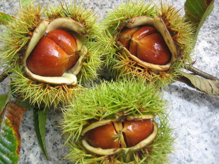 순일기업 이미지