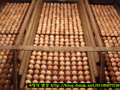 설날의 풍요로움^^