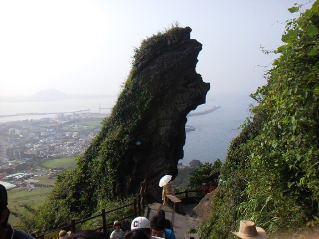 폰 사진