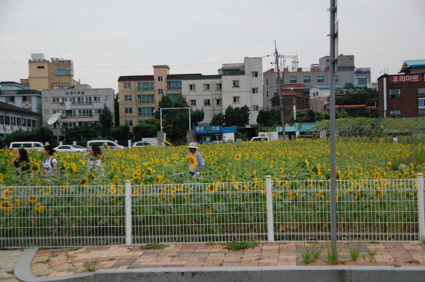 그래. 내가 낮출게~