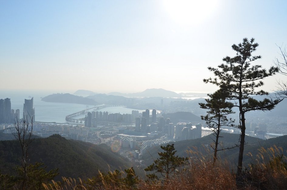 <465차>갈맷길12- 장산 너덜길