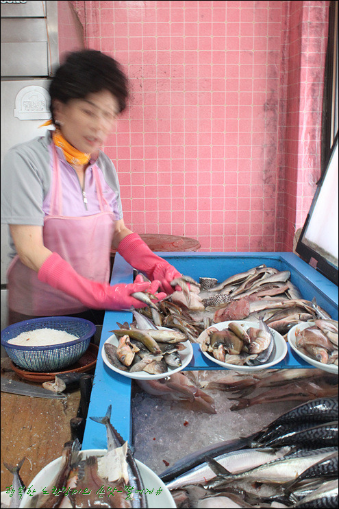 [속초맛집]4년만에 다시찾은~ 88생선구이