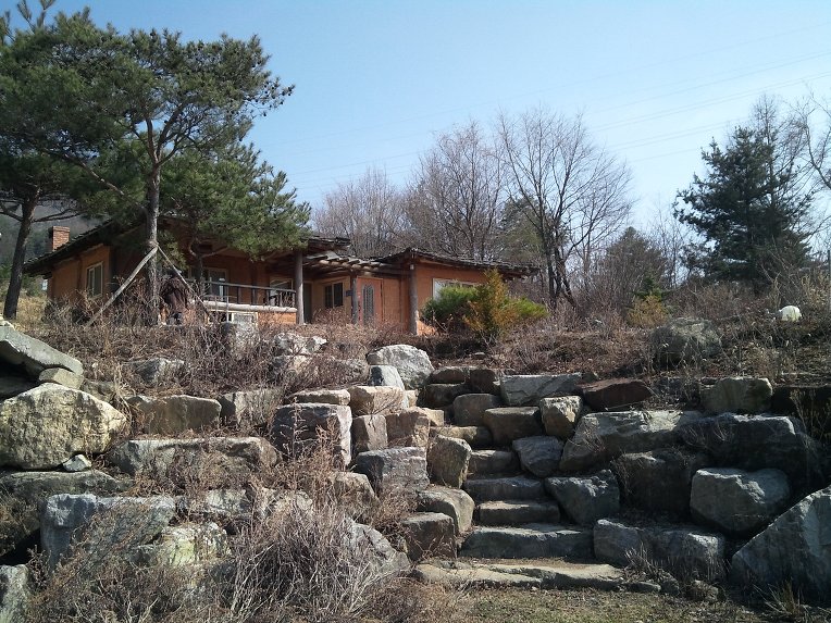 봉평고원메밀 이미지