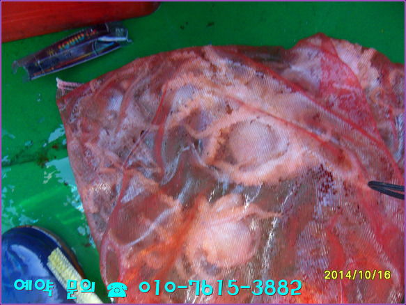 2113183D543FE74C0EB167