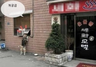 힙합중년의 탄생에서 하우스/일렉중년으로