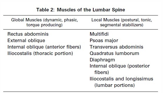 Lumbar spine muscle