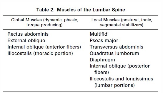 Lumbar spine muscle