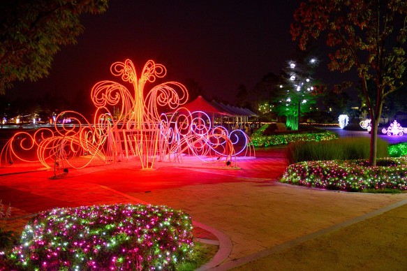 밤이 낮보다 아름답습니다 ( 순천만정원 물빛축제 후기)