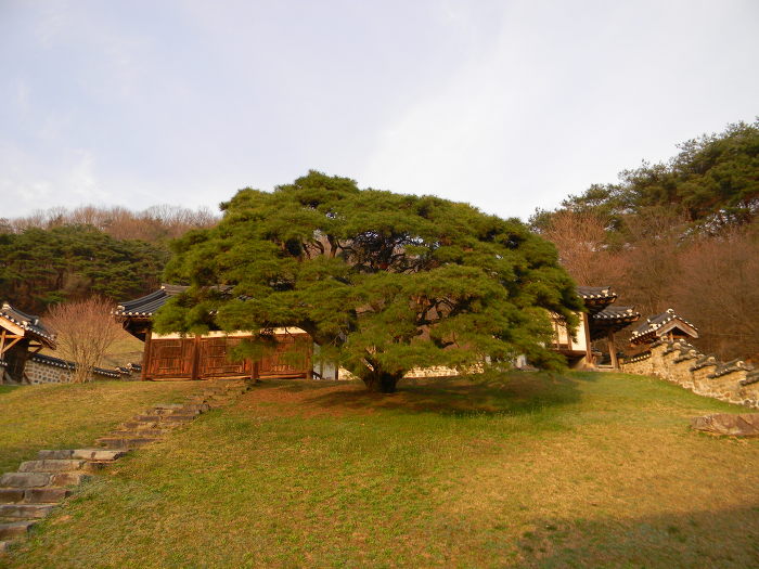 대전 무수동 유회당, 기궁재, 삼근정사