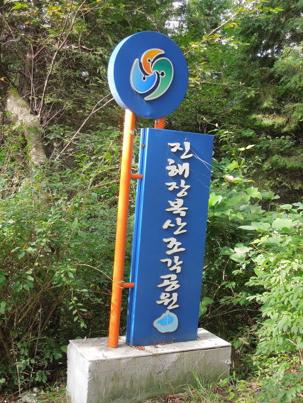 숲의조각 이미지